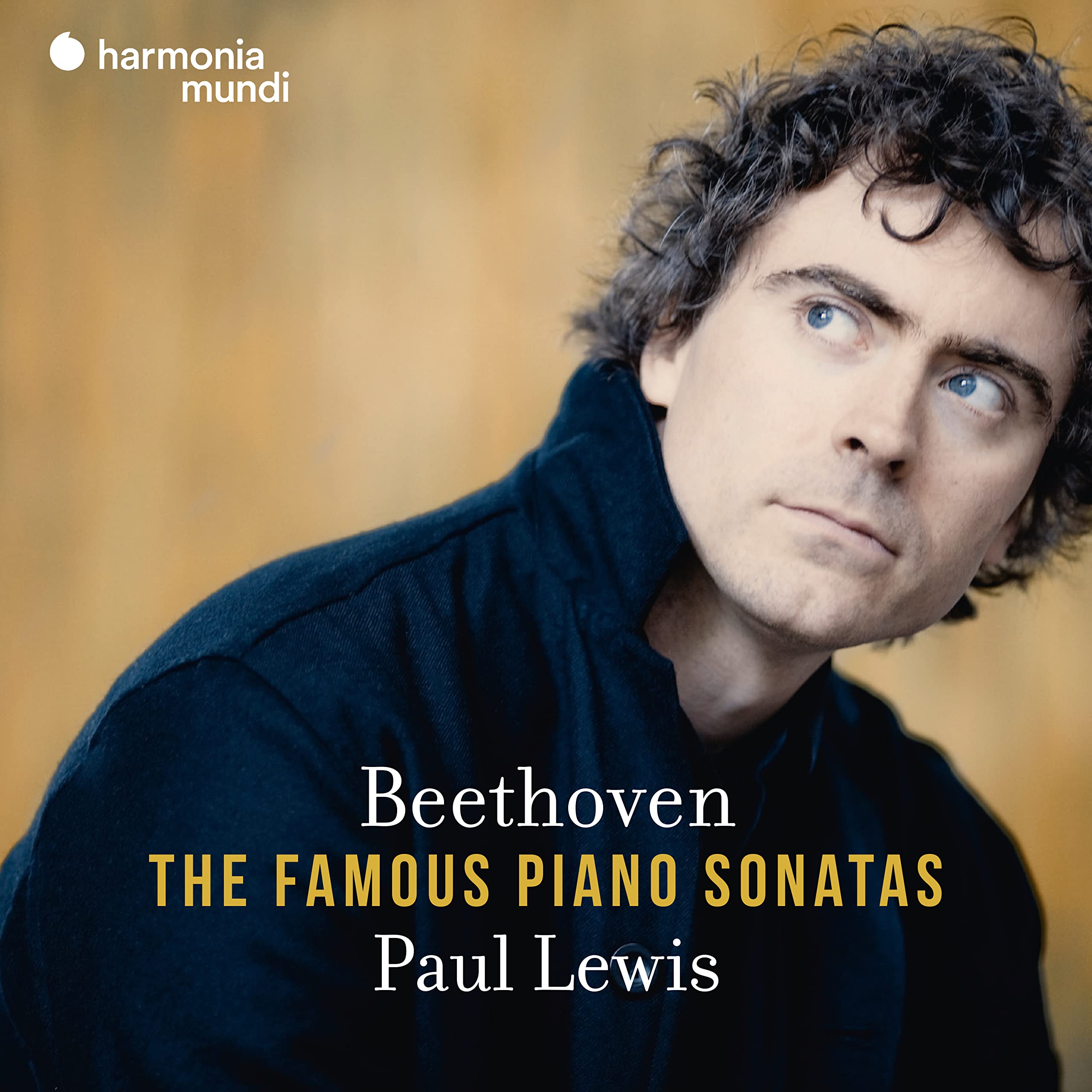 Product Image: The Famous Piano Sonatas