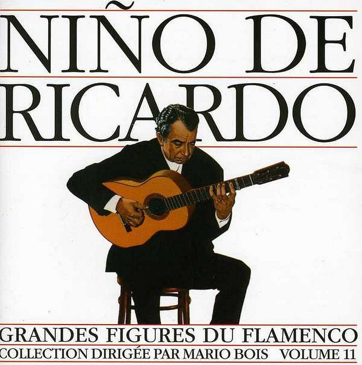 Flamenco 11 Pop