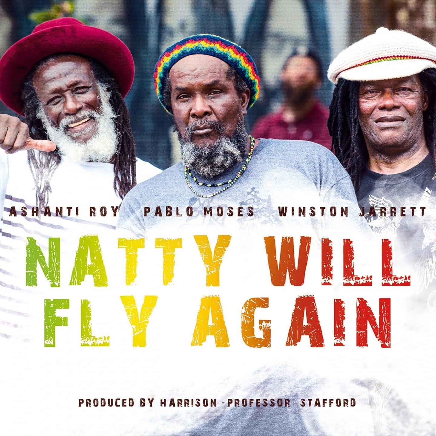 Product Image: Natty Will Fly Again