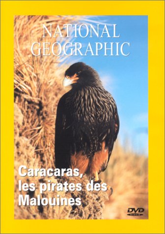 National Geographic : Caracaras, la terreur des Malouines Films