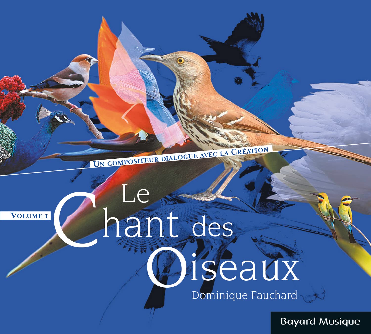 Le Chant des Oiseaux cd