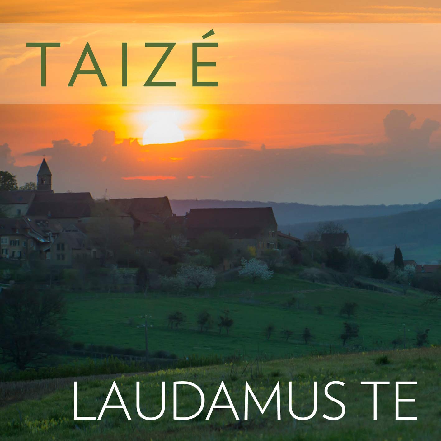 Product Image: Taiz': Laudamus Te