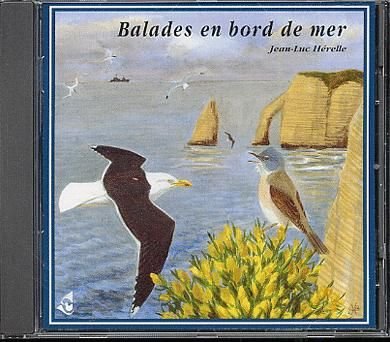Ein Strandspaziergang Music