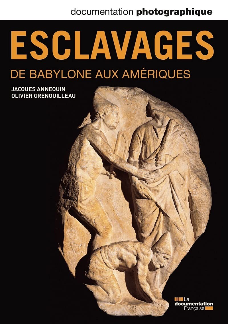 Documentation photographique, n° 8097 : Esclavages, de Babylone aux Ameriques book