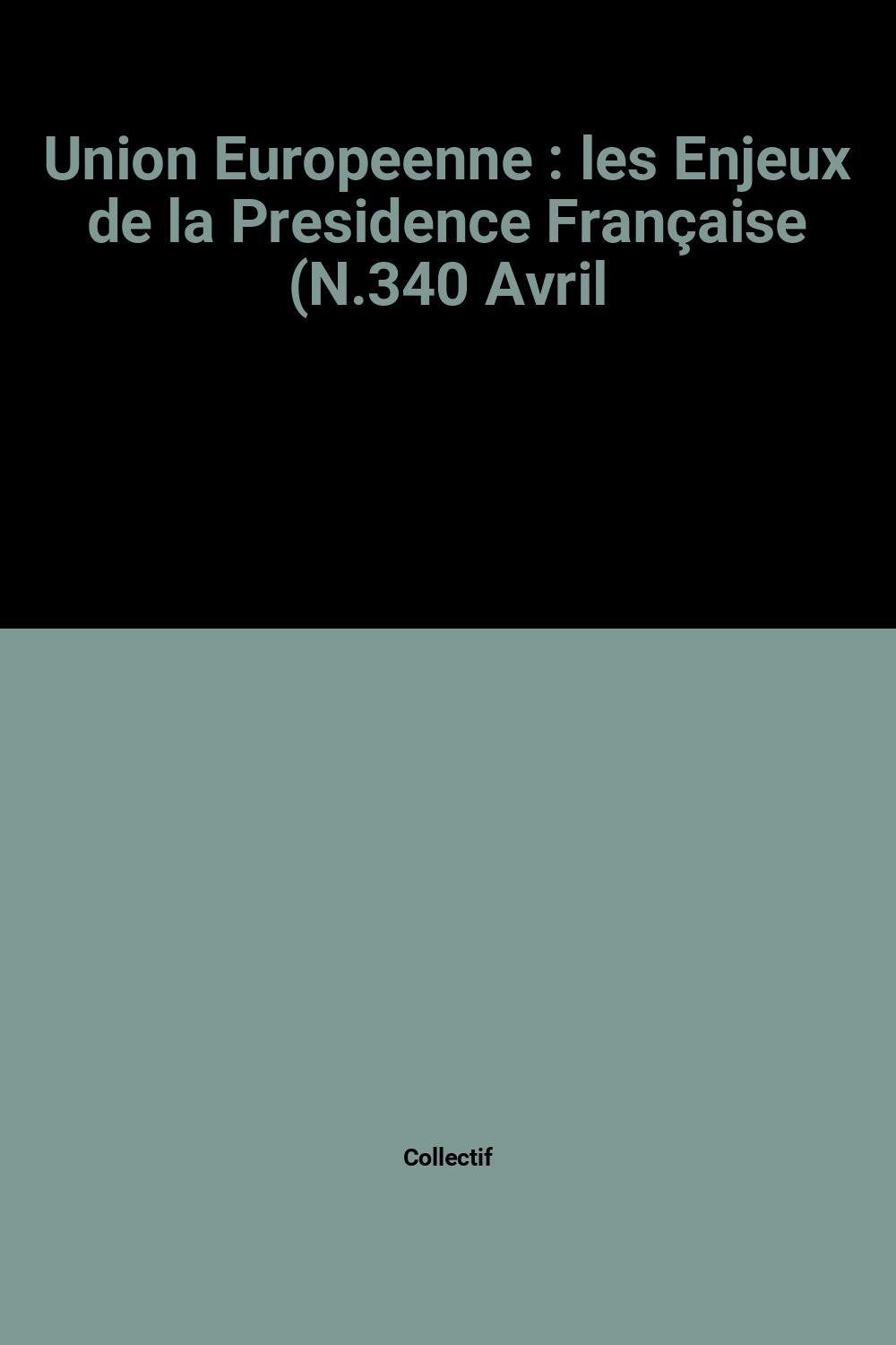 Union européenne : Les enjeux de la présidence française book