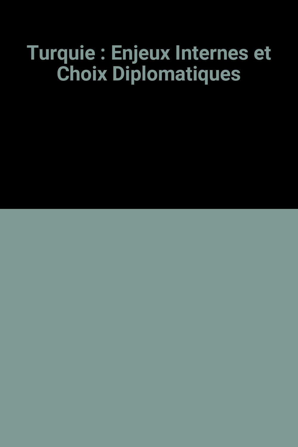 Turquie : Enjeux Internes et Choix Diplomatiques book