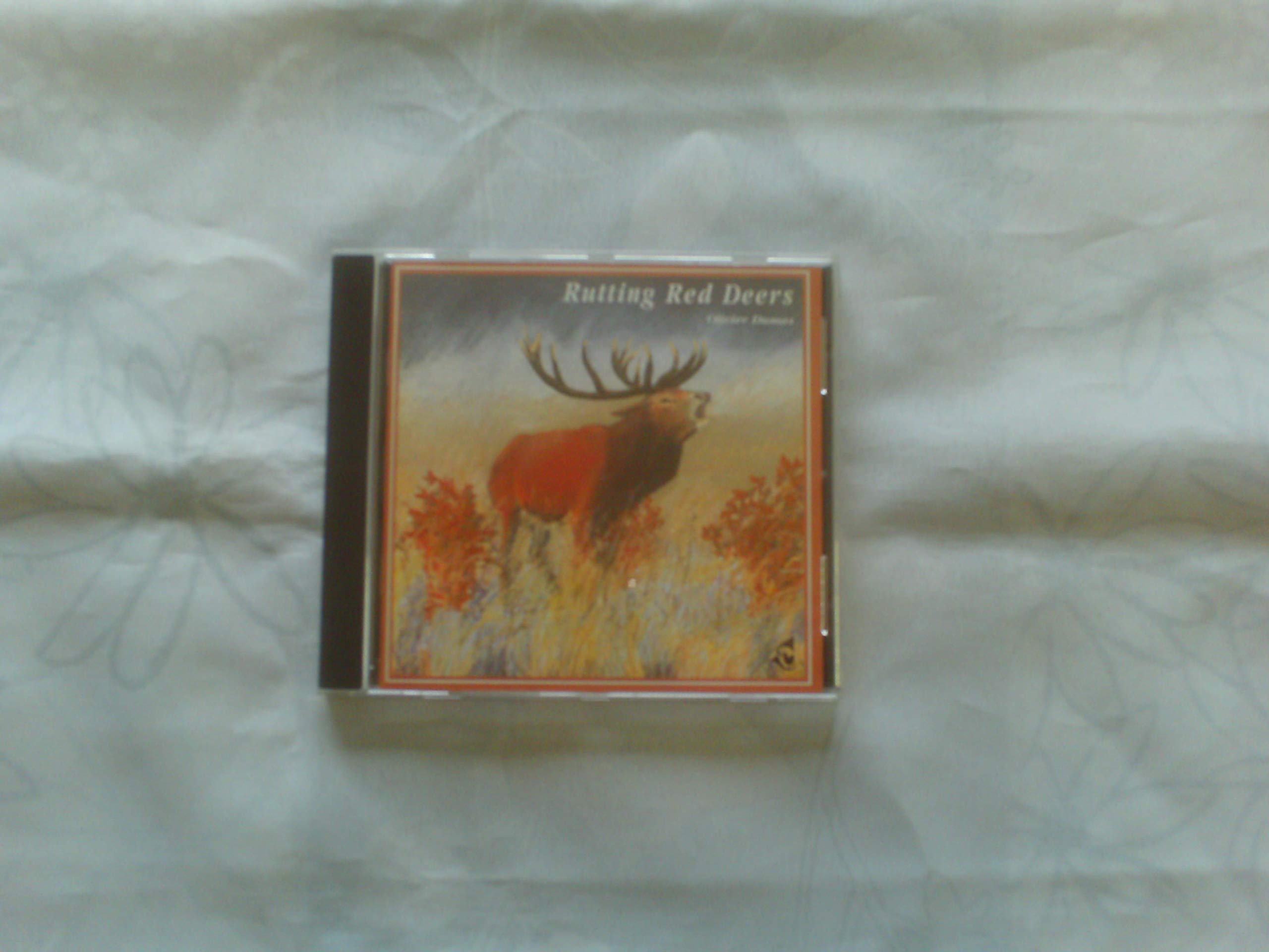Rothirsche im Troncais (Naturaufnahmen) Music
