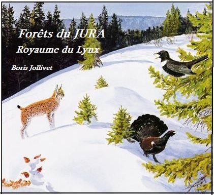 Forets du Jura-Royaume du Lynx (Paysag cd