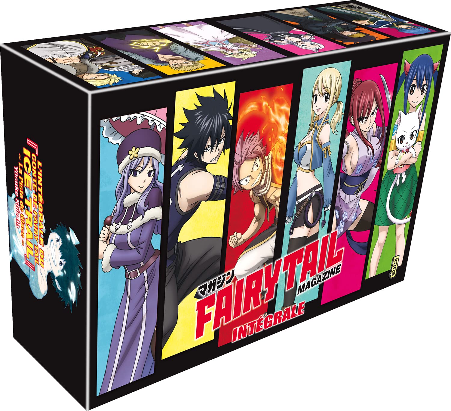 Coffret intégrale Fairy Tail Magazine dvd
