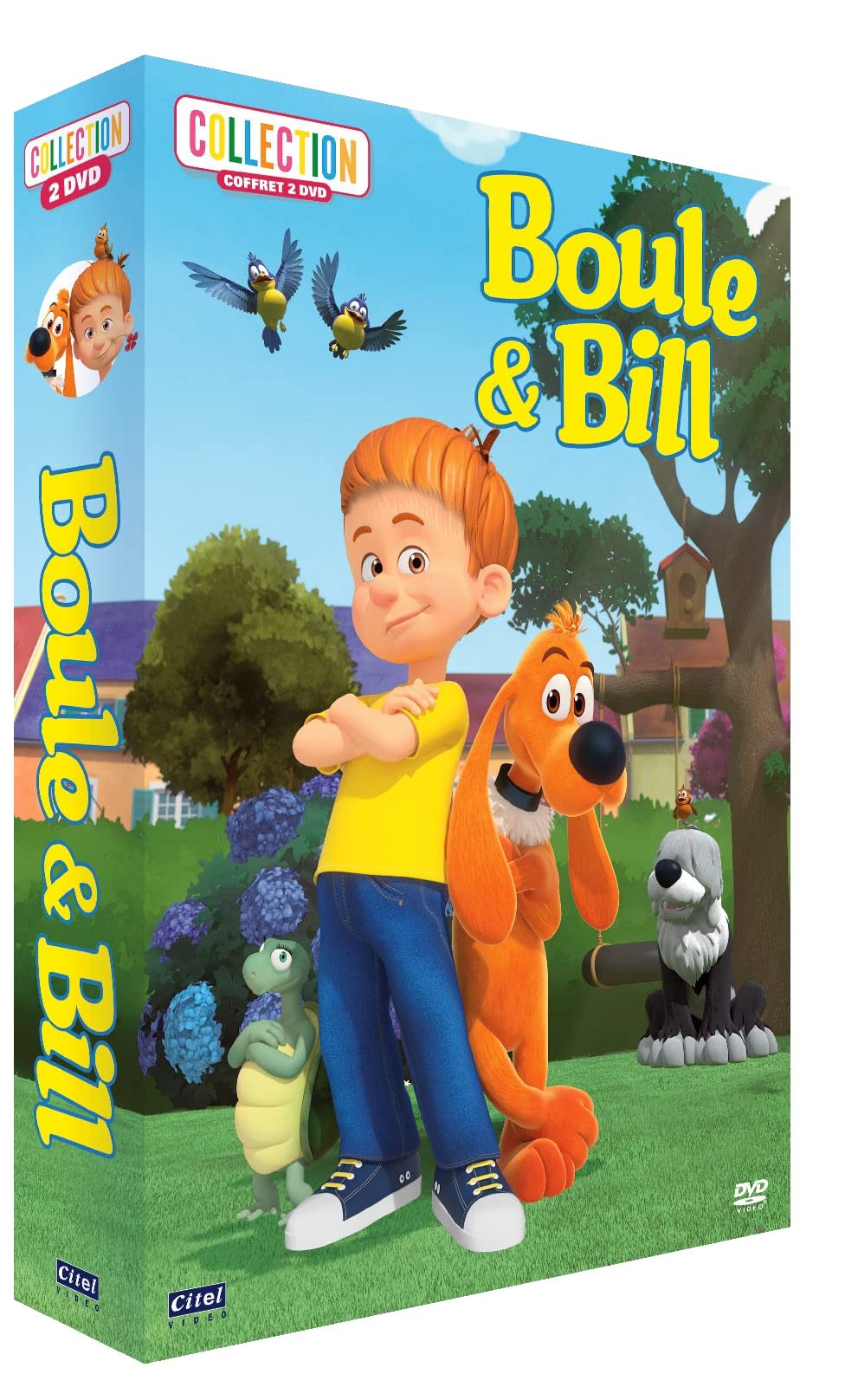 S2-Titre : Boule & Bill Gentil Toutou Coffret 2 DVD dvd