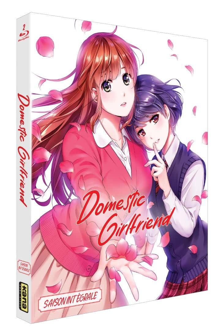 Domestic Girlfriend - Love X Dilemma - Saison intégrale dvd
