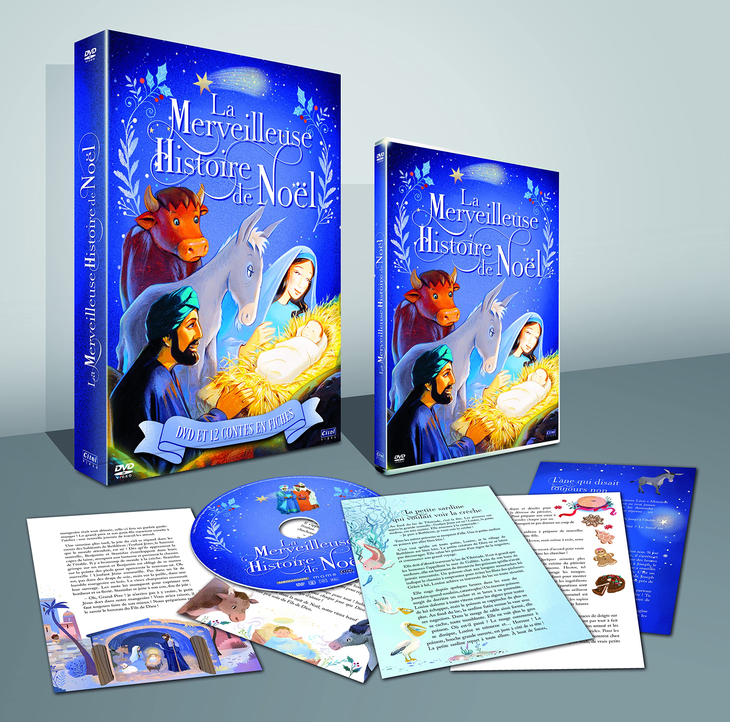 La merveilleuse histoire de noël Films