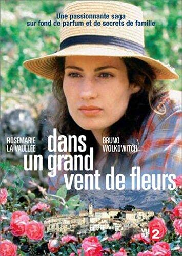 Dans un grand vent de fleurs - Edition 4 DVD Box sets