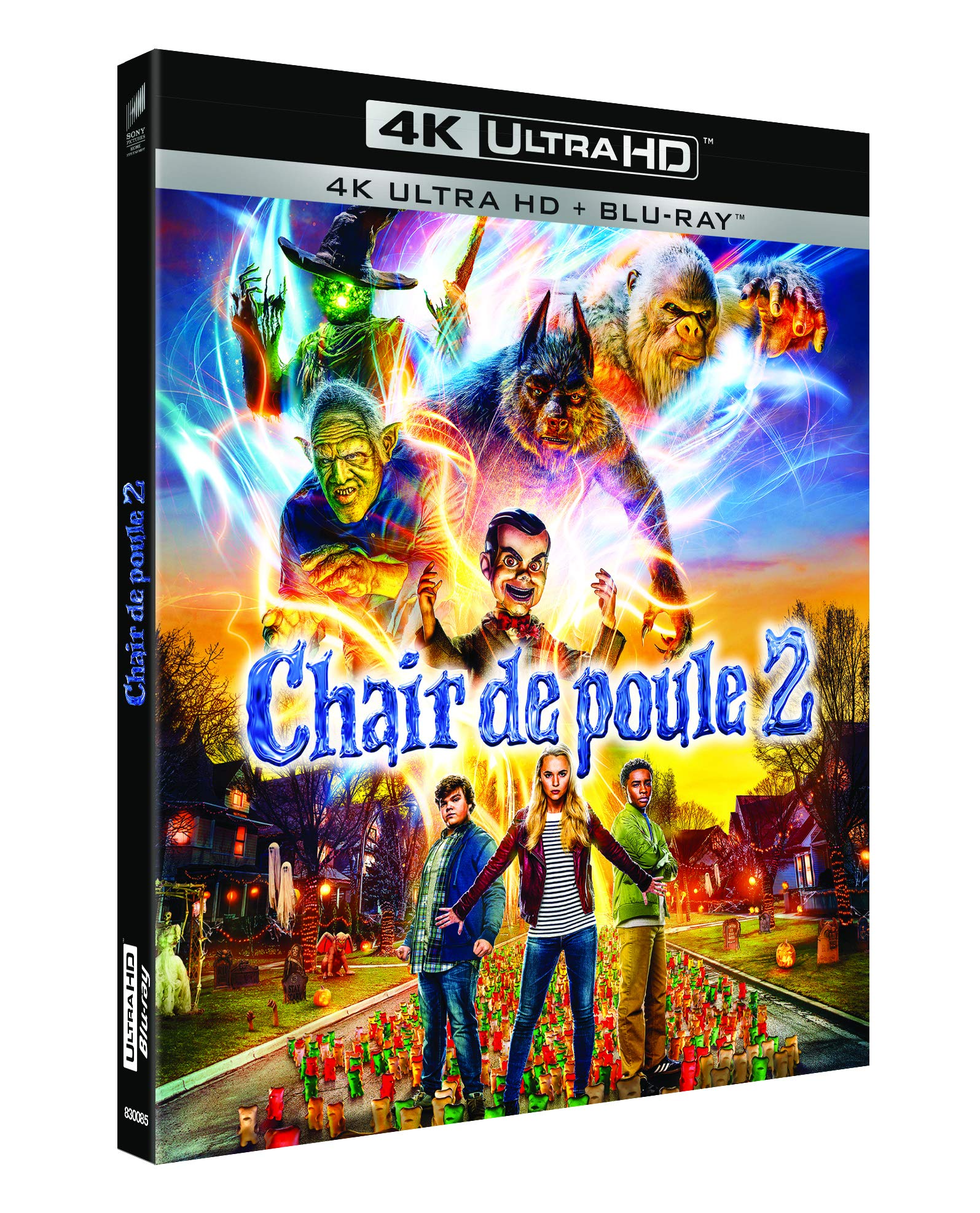 Chair de Poule 2 : Les Fantômes d'halloween dvd