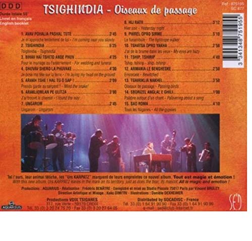 Tsighindia-Passing Birds Pop