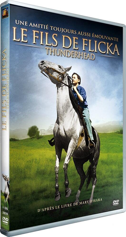 Product Image: Le fils de flicka