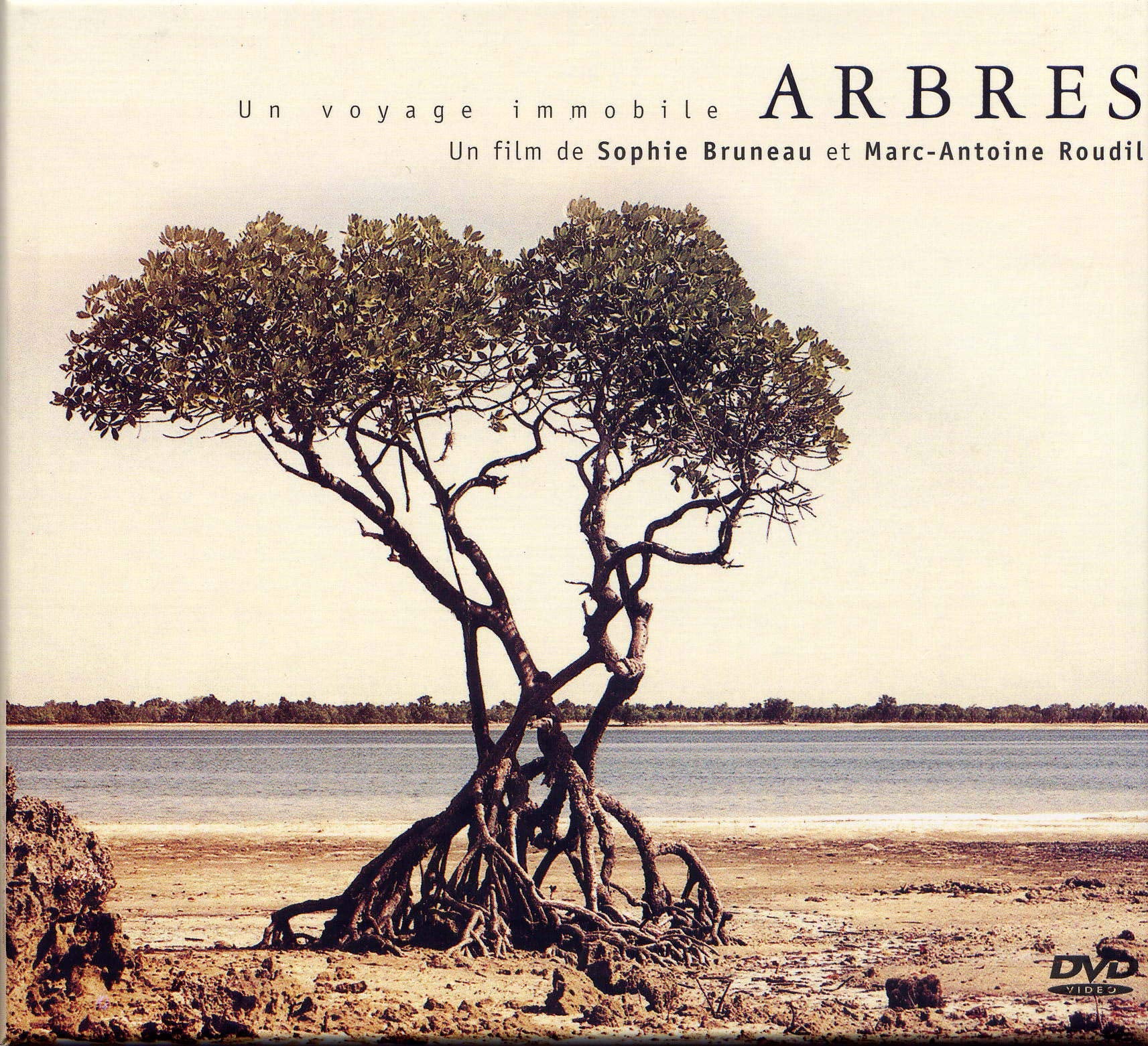 Arbres, un voyage immobile Films