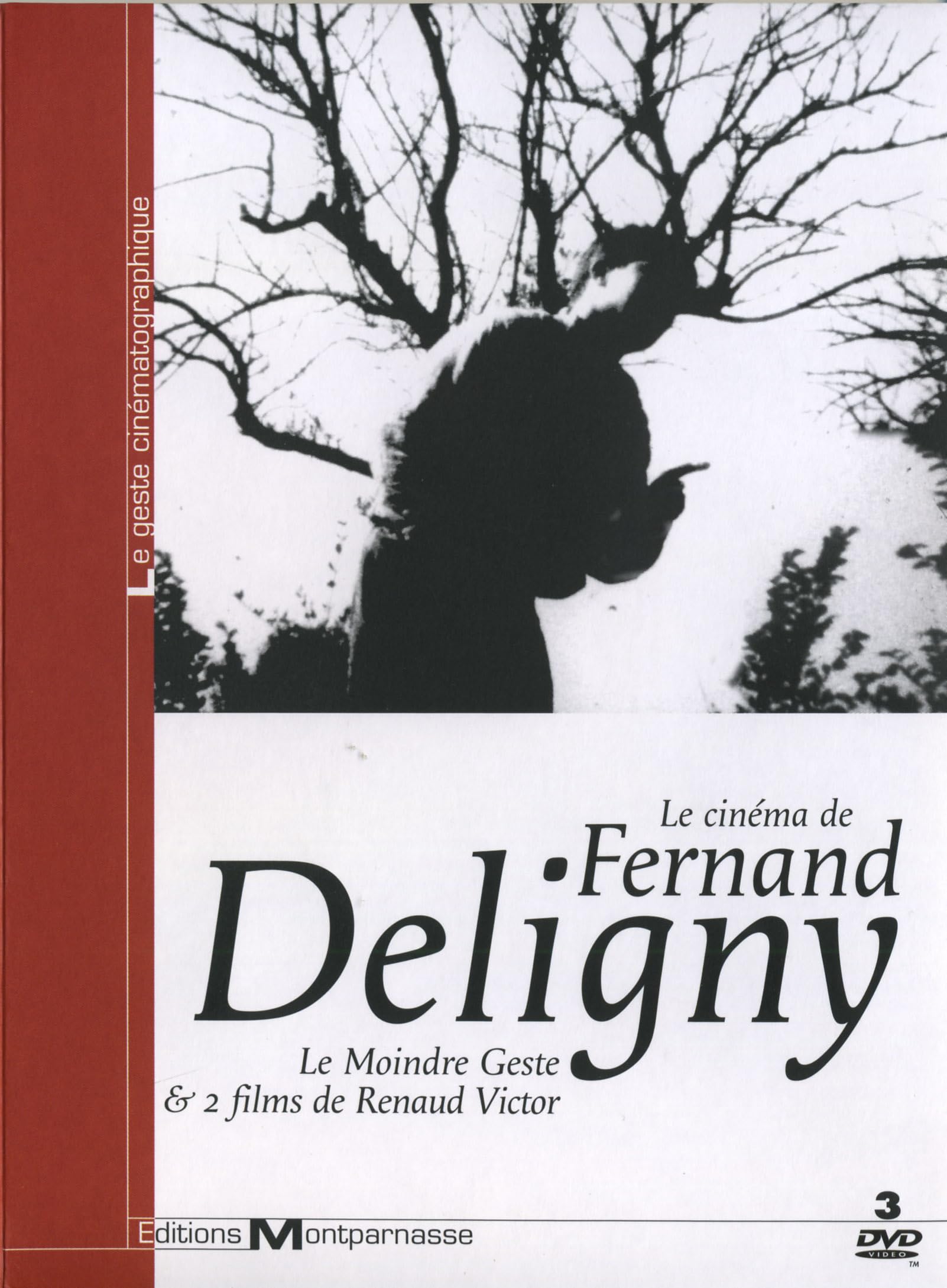 Le cinema de fernand deligny Films