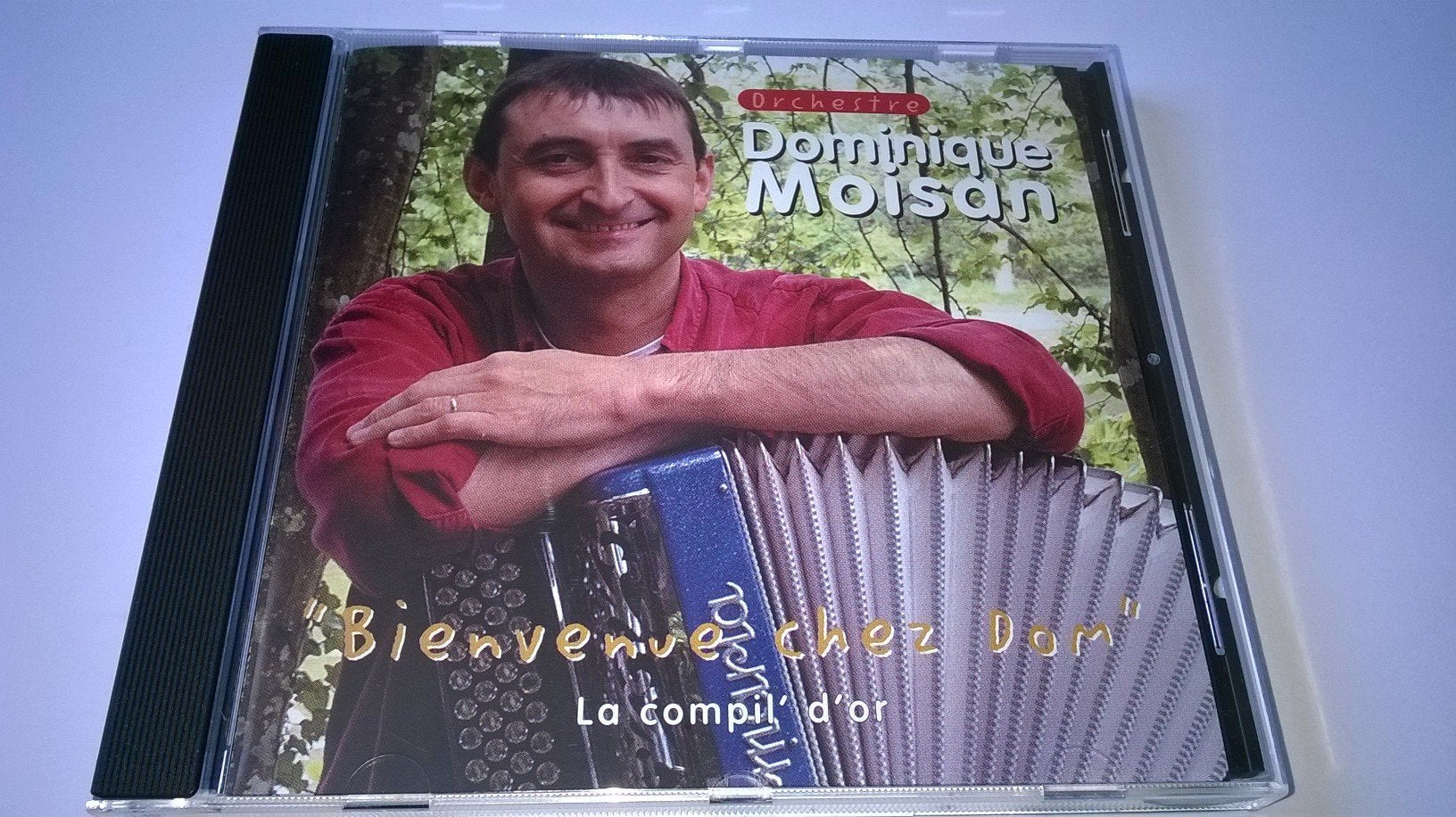 Bienvenue Chez Dom _ La Compil D'Or Pop