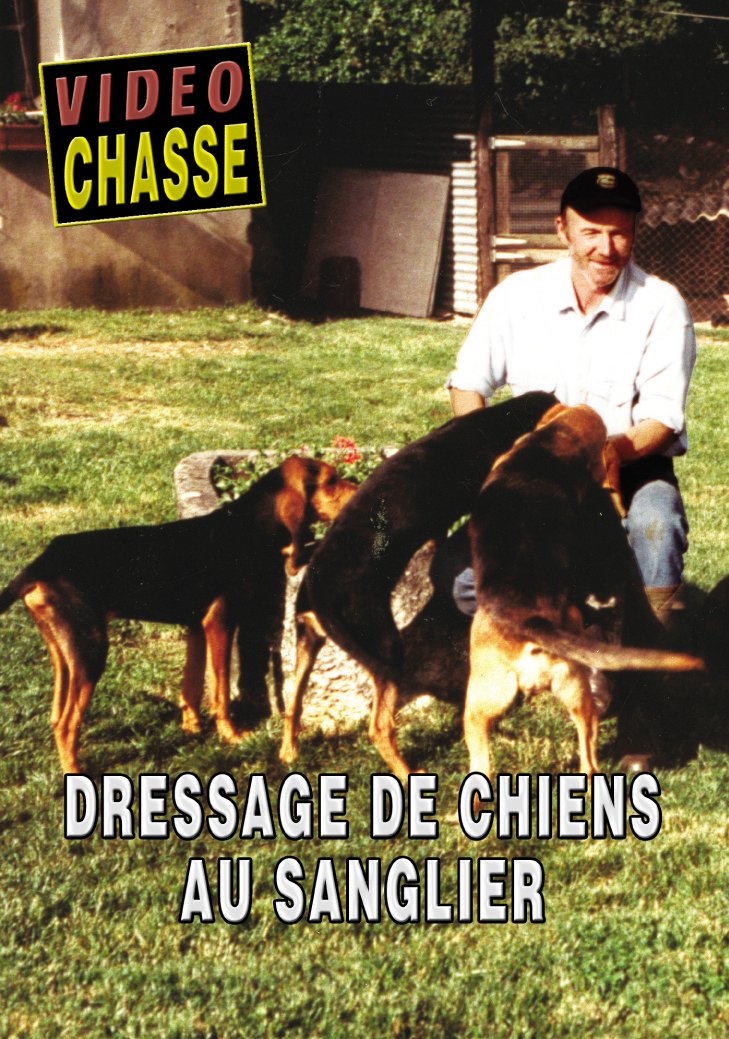 Dressage de chien au sanglier Films