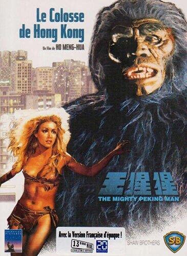 Le colosse de Hong-Kong Films