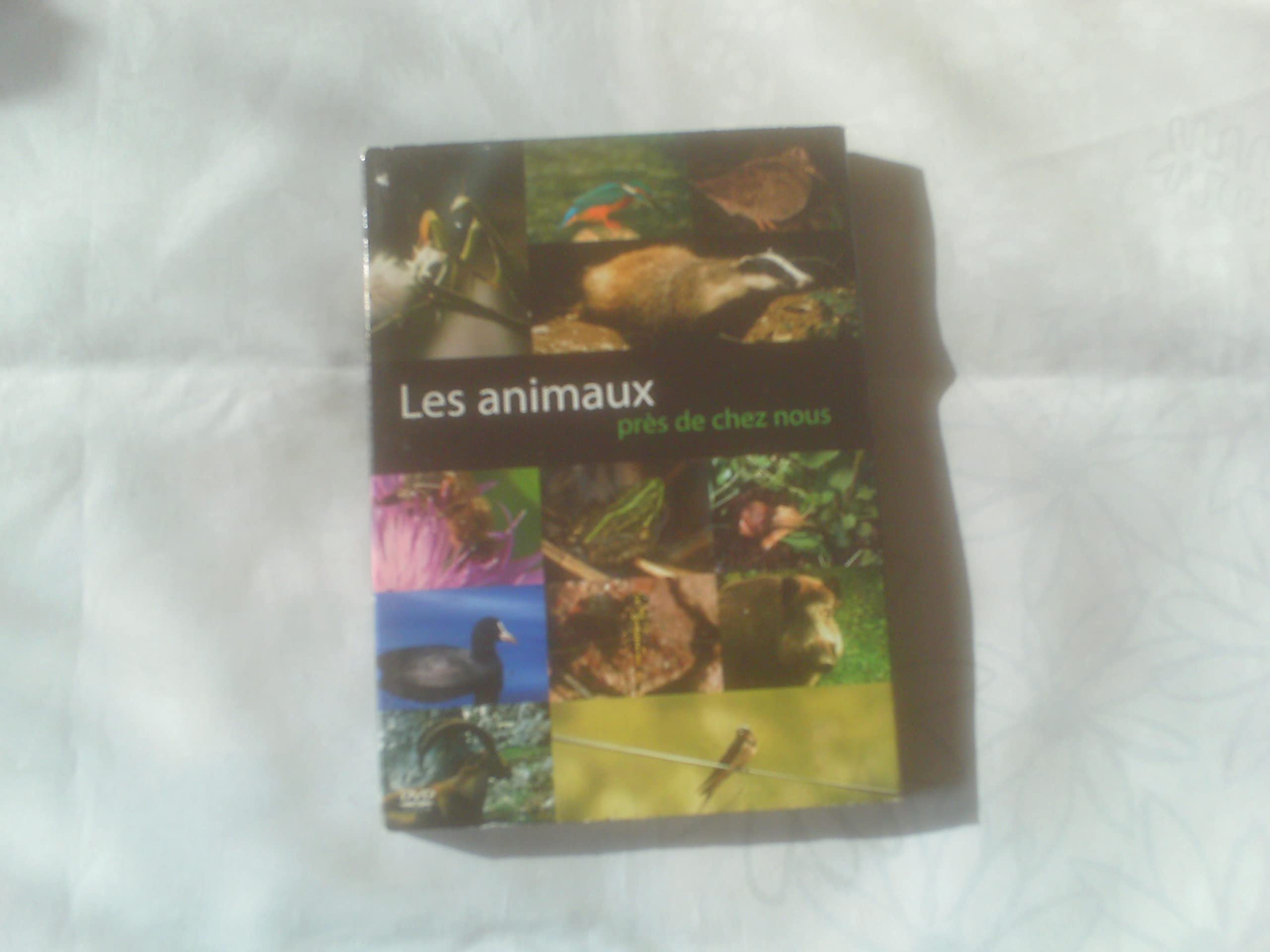 Les Animaux près de chez nous - Édition 2 DVD Films