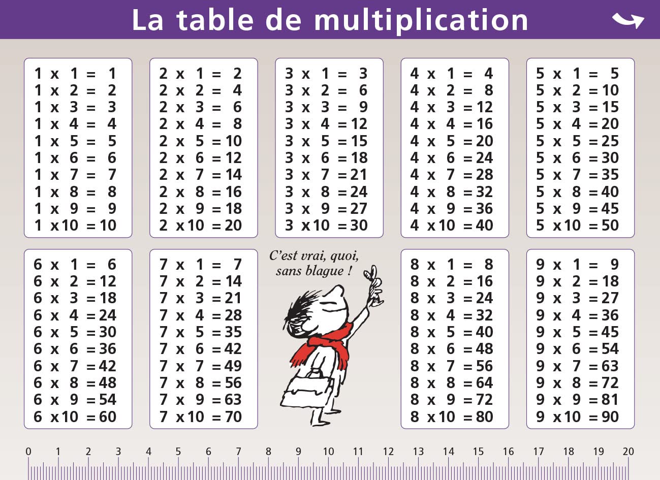 03.MULTIPLICATION/DIVISION - MINI POSTER LE PETIT NICOLAS book