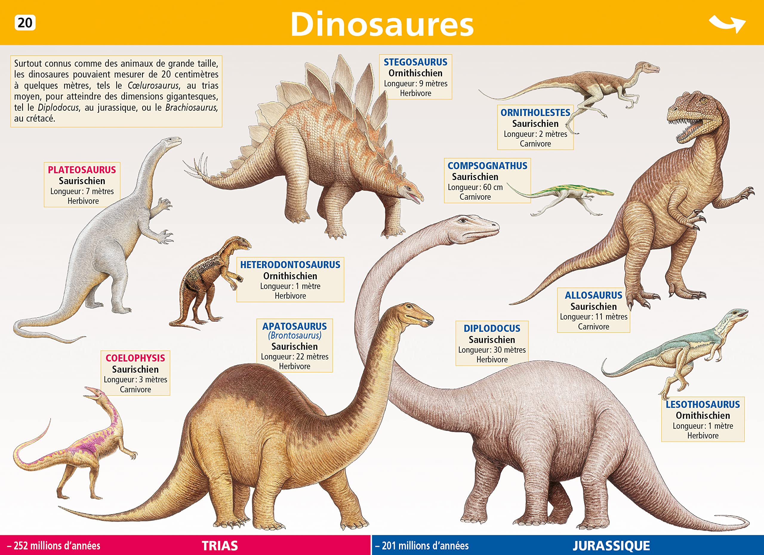 Mini poster Le Petit Nicolas N°20 - Dinosaures book