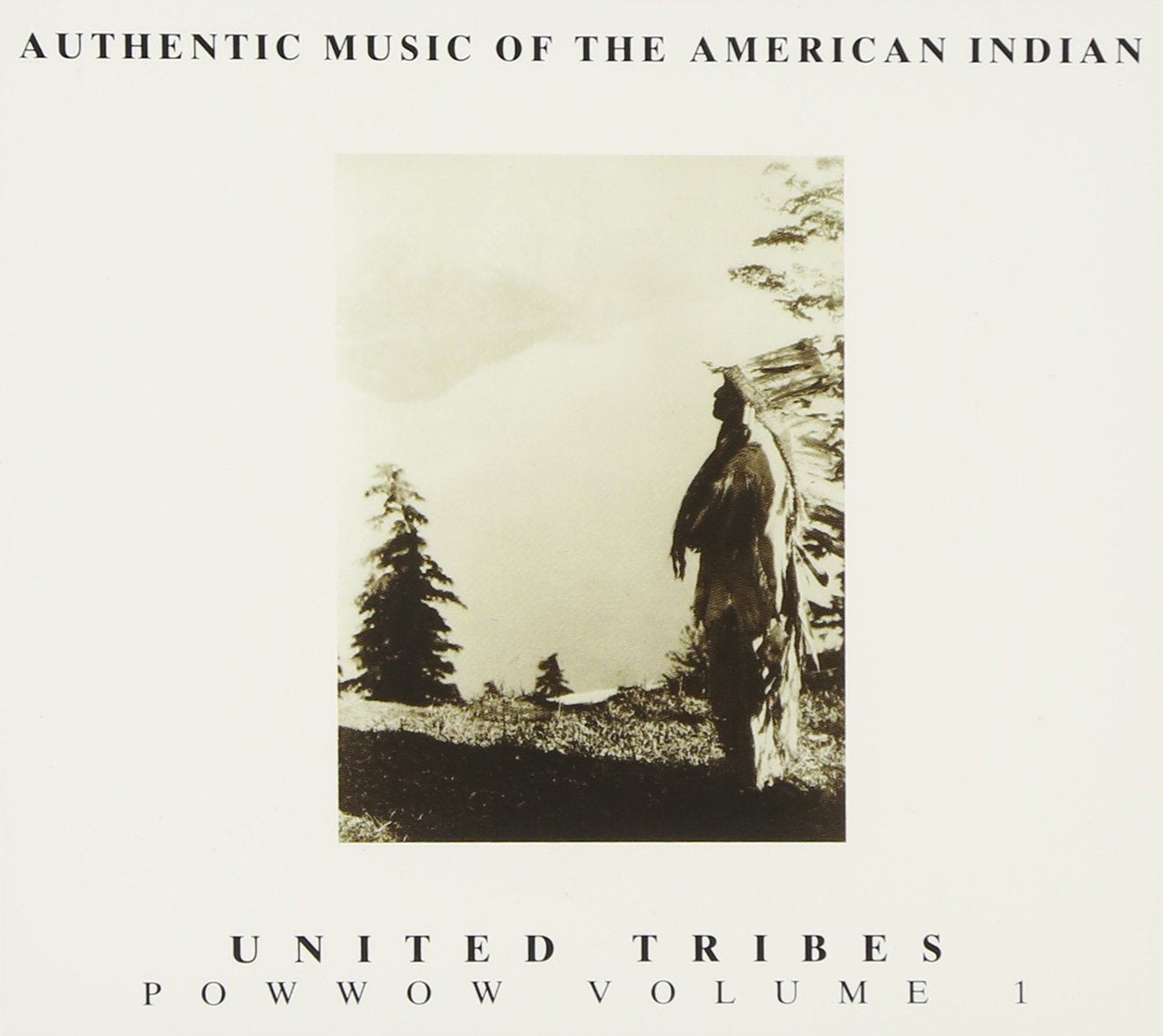 Pow Wow Vol. 1 - Authentic Music of the American Indian Country & Folk