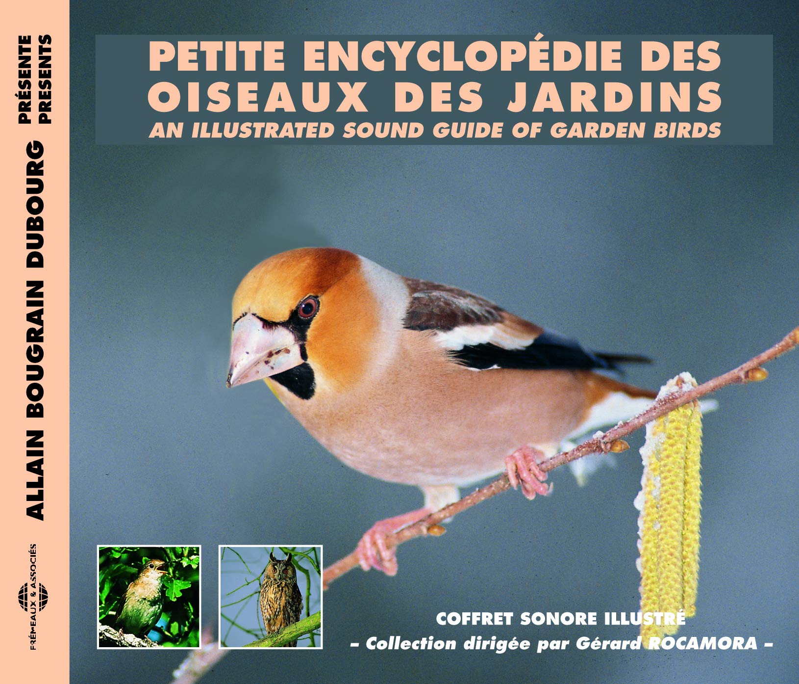 Sound Guide of Garden Birds Music