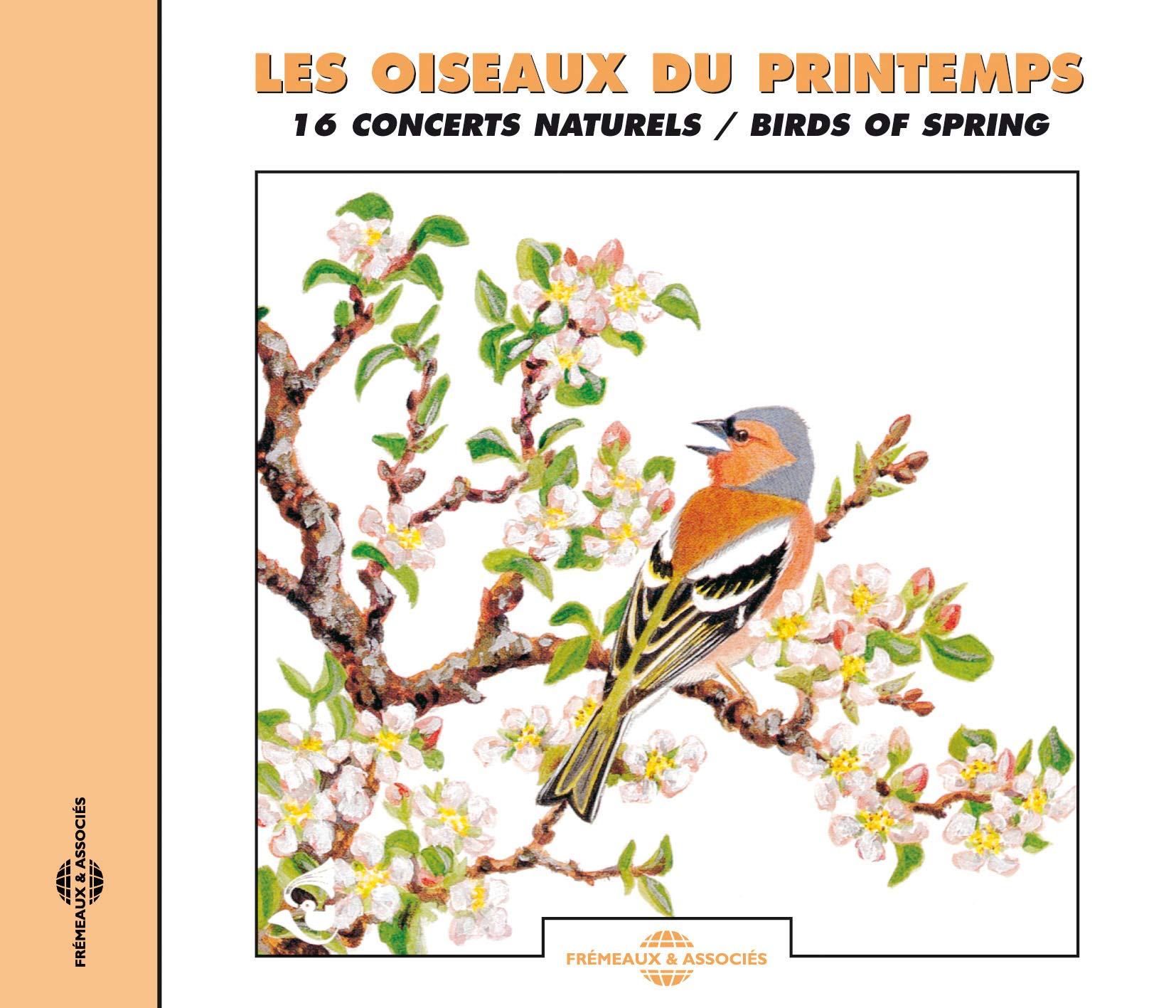 Birds Of Spring Other music genres