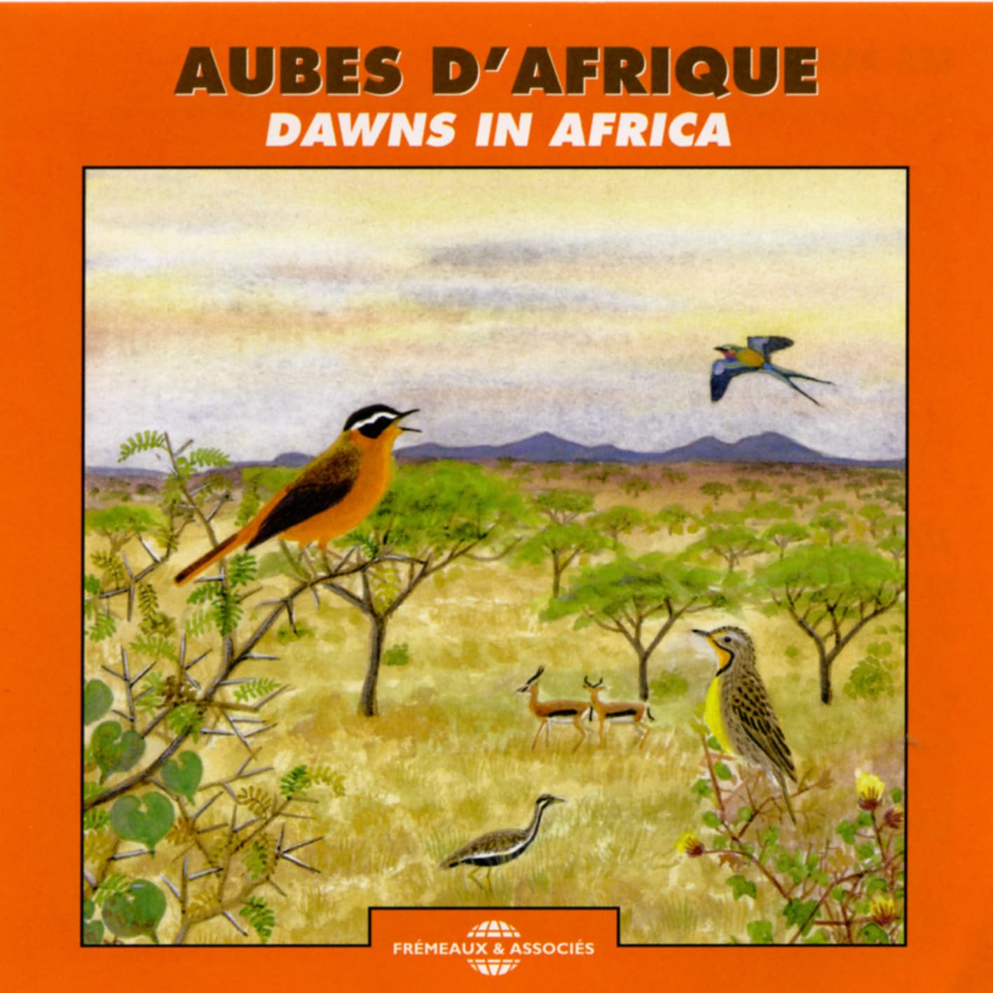 Dawns In Africa cd