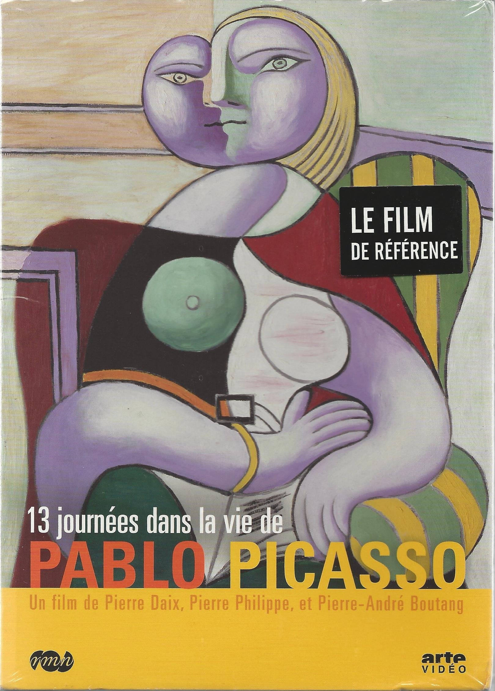 13 journées de la vie de Picasso Films