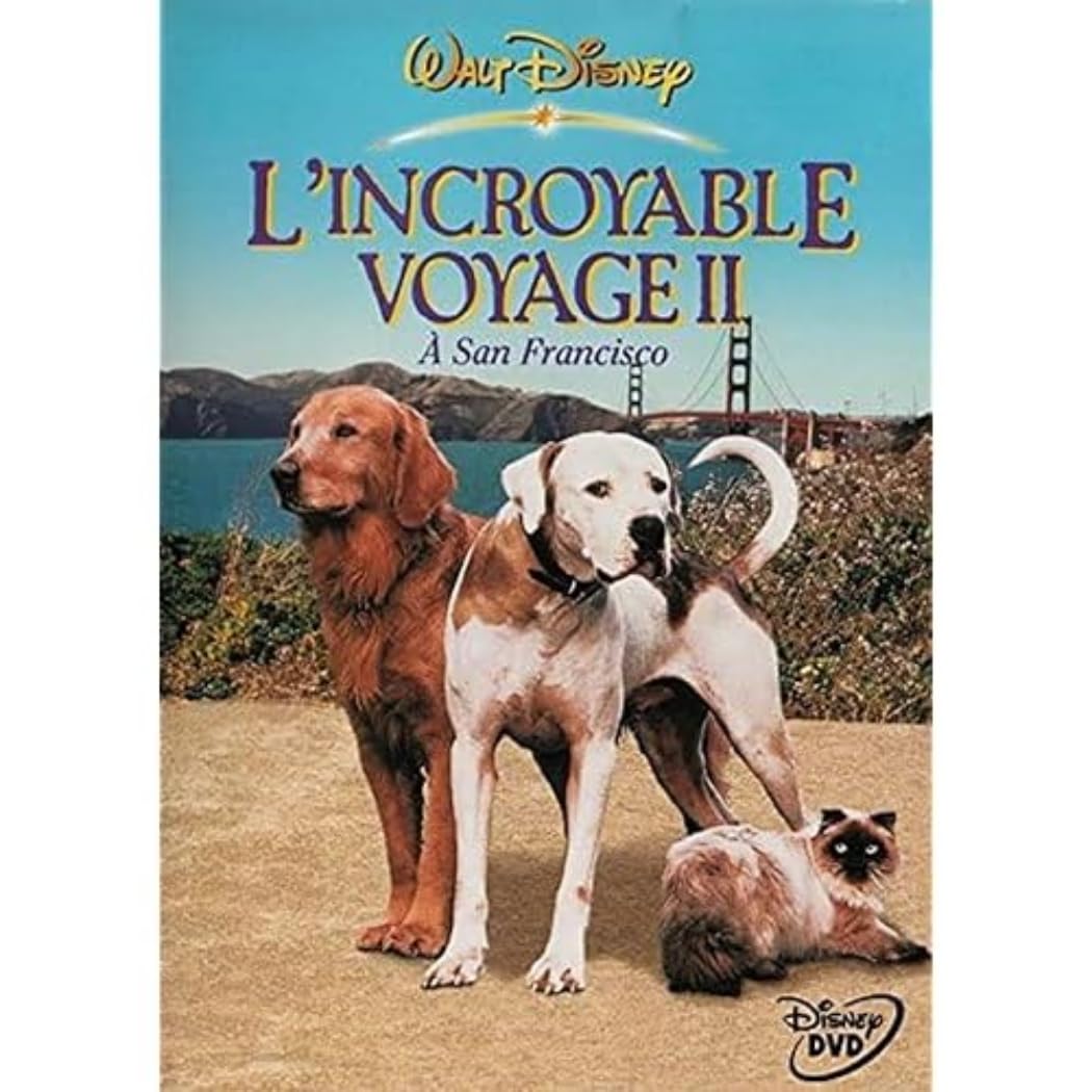 L'Incroyable voyage 2 à San Francisco Films