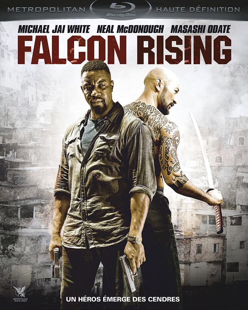 Product Image: Falcon rising