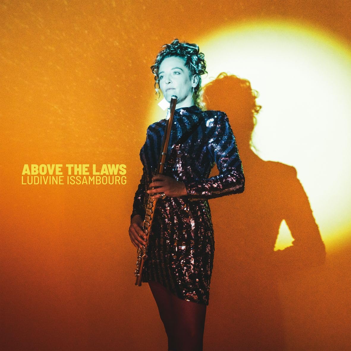 Above The Laws (180Gr.) Jazz