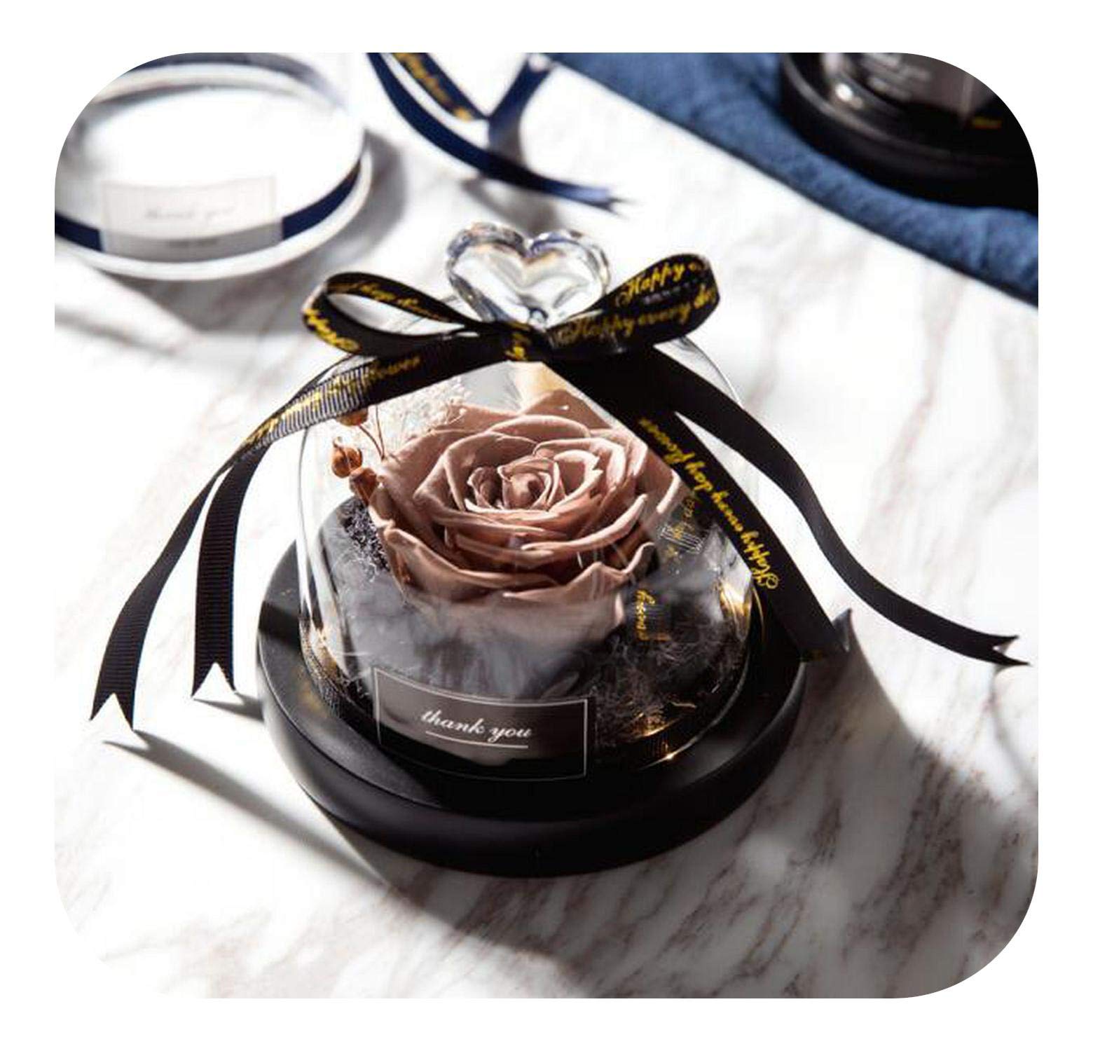 Générique Saint Valentin Gufts, Rose en Verre Dôme Exclusif avec des lumières réel éternel Cadeau Rose Cadeau Saint Valentin Rose, 009 Movies