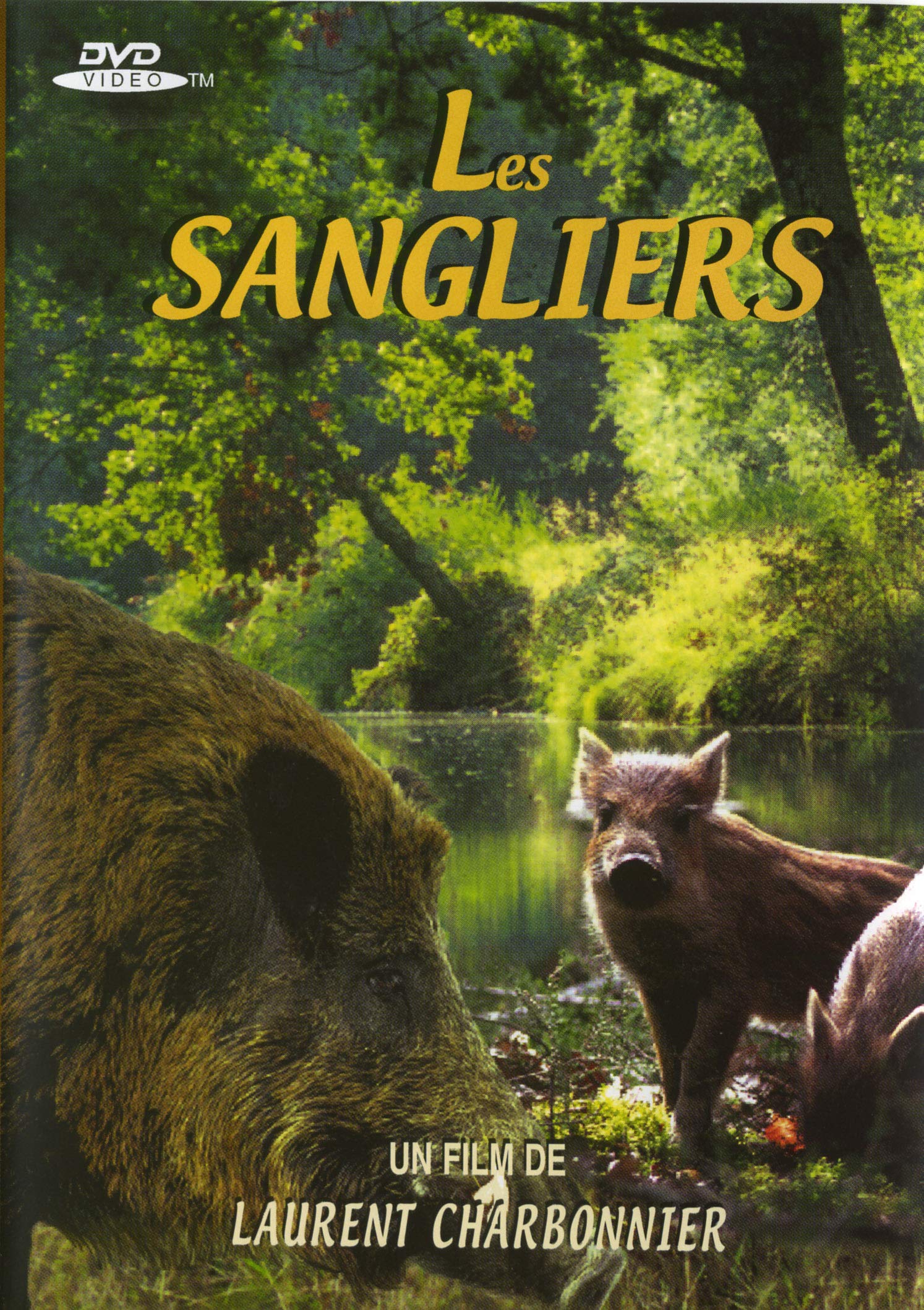 Product Image: Les sangliers