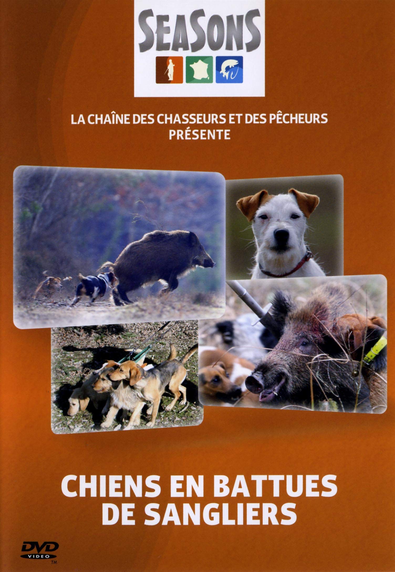 Chiens en battues de sangliers dvd