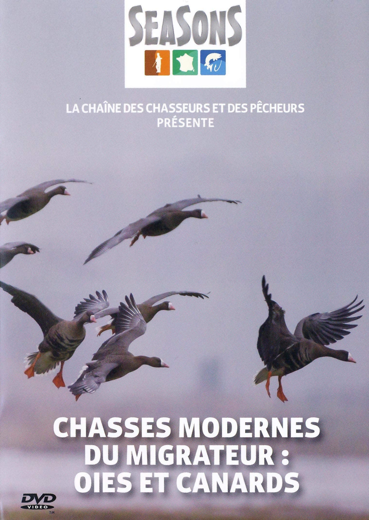 Chasses modernes du migrateur : oies et canards Films