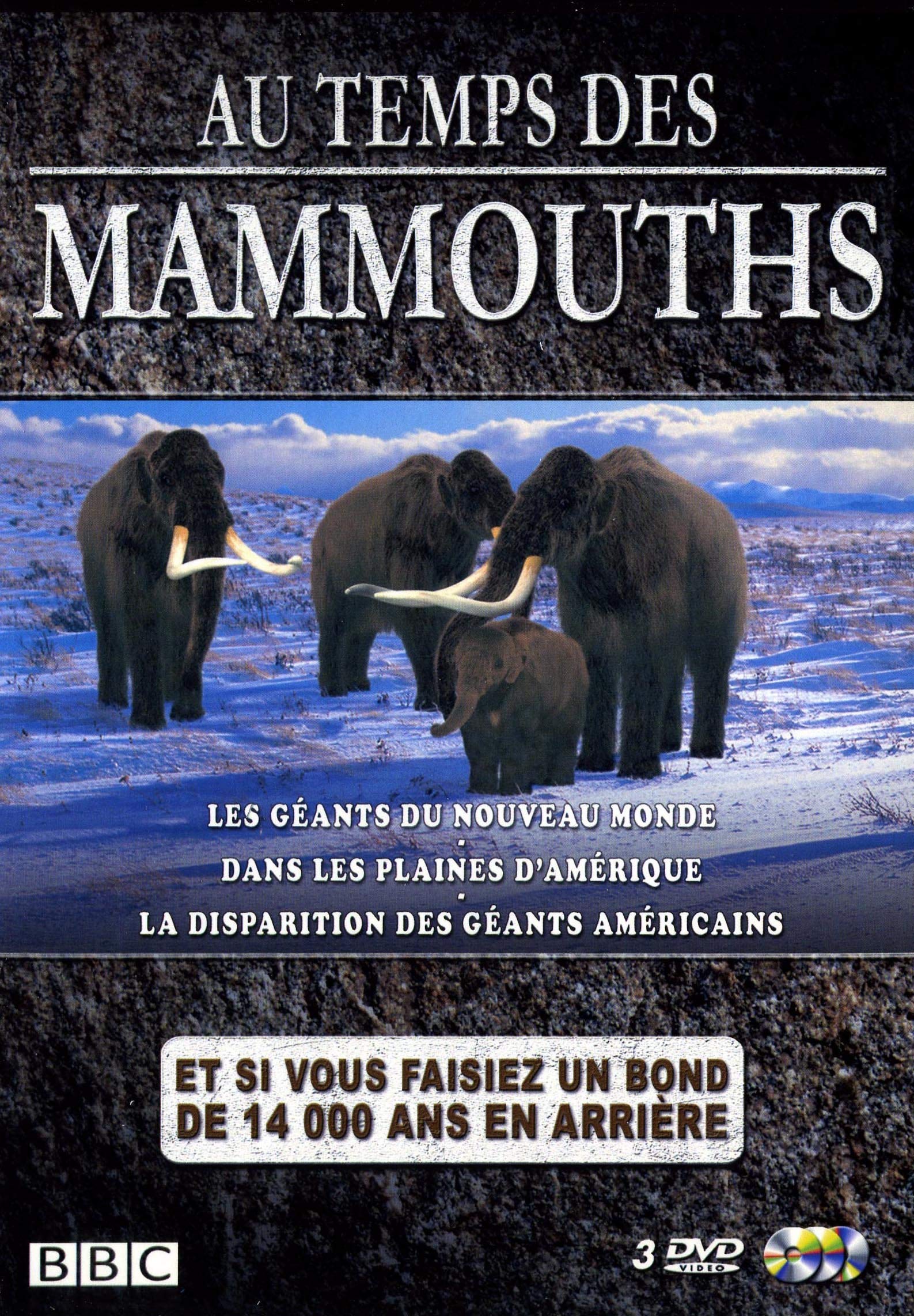 Coffret au temps des mammouths Films