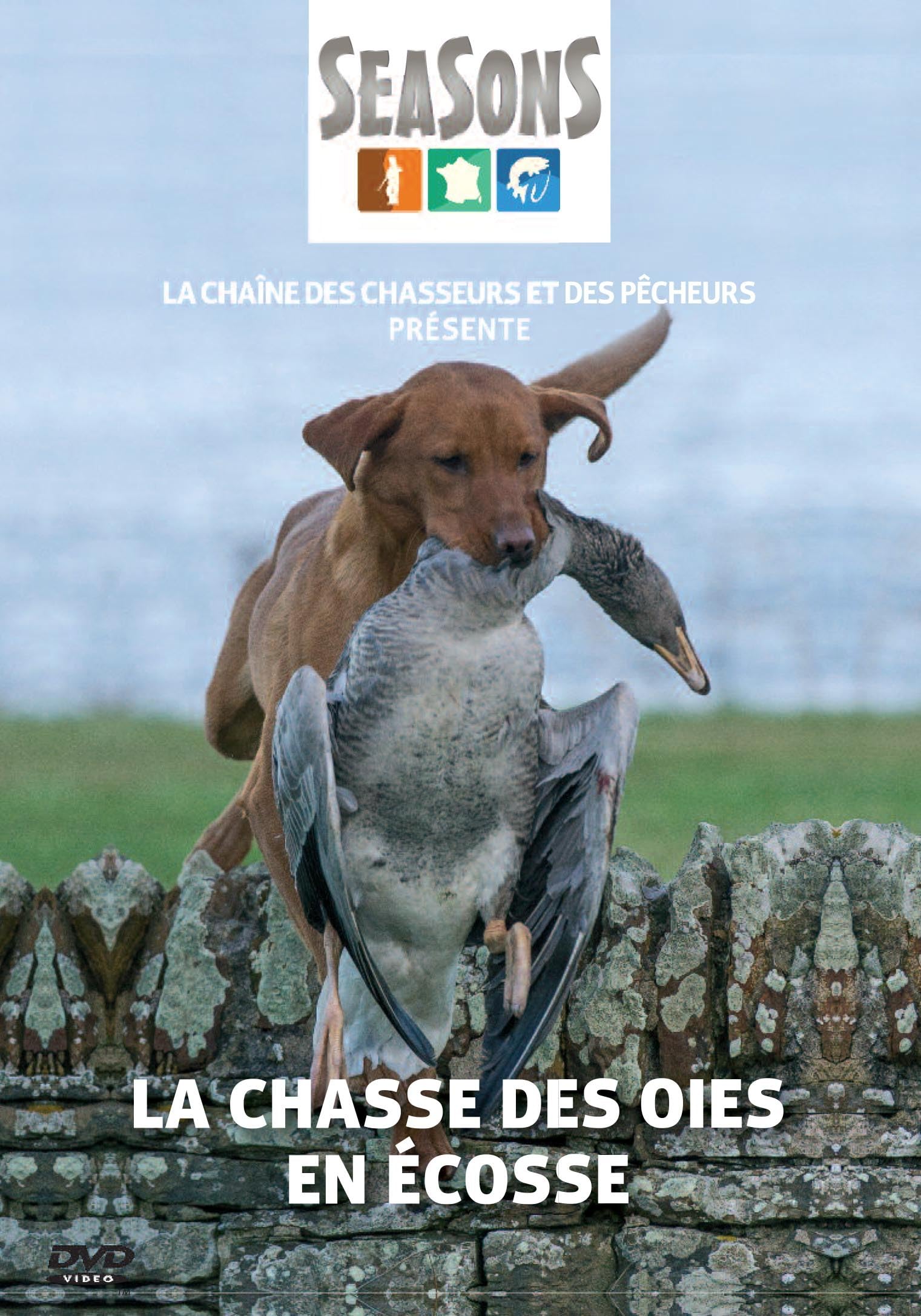 La chasse des oies en ecosse Films