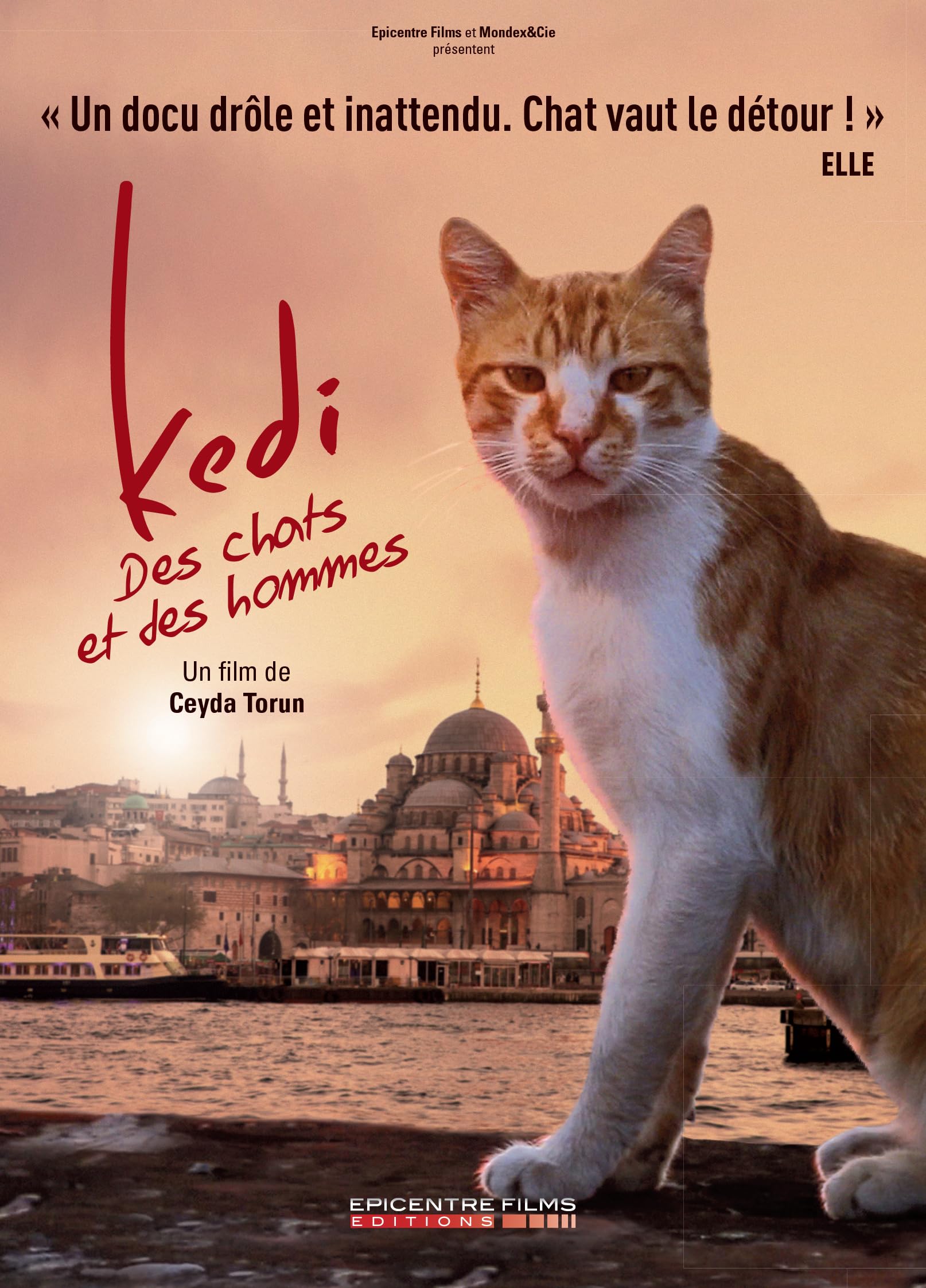 Kedi-des Chats et des Hommes dvd