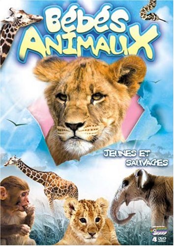 Bébés animaux : jeunes et sauvages Films