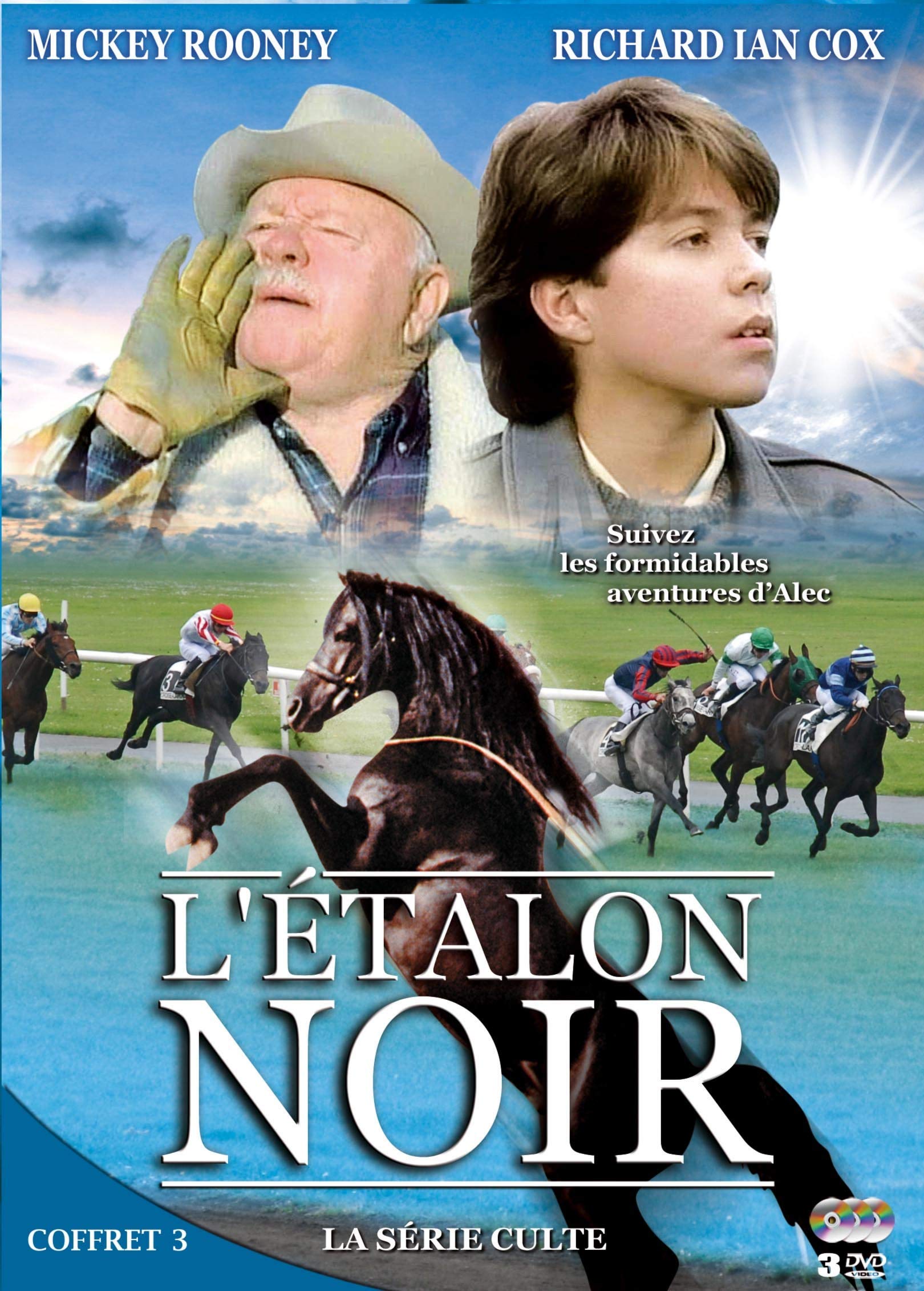 L'étalon noir, saison 3 Box sets
