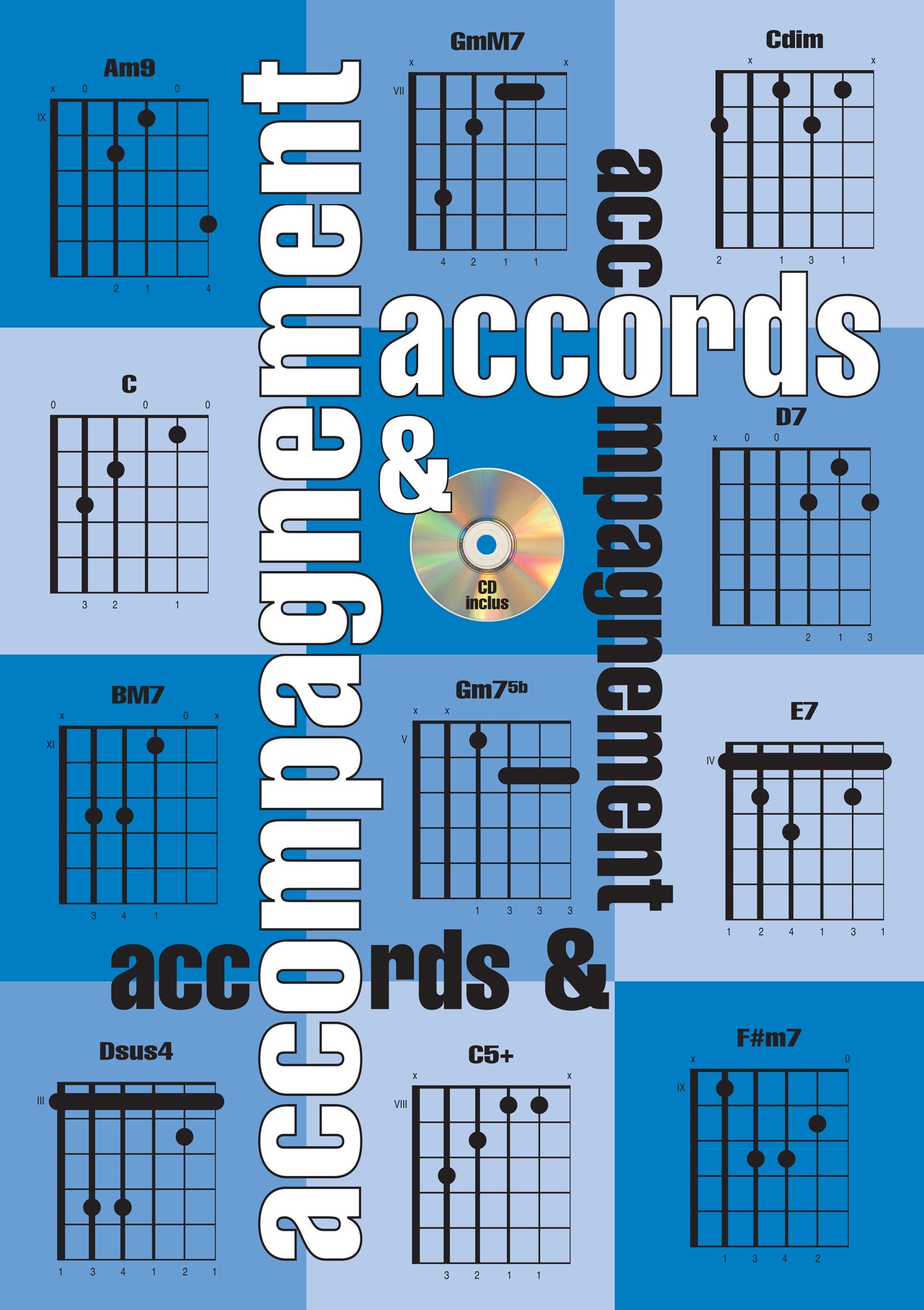 Lamboley Denis Accords Et Accompagnement Guitar Tab Book/Cd French Essays & Short Stories