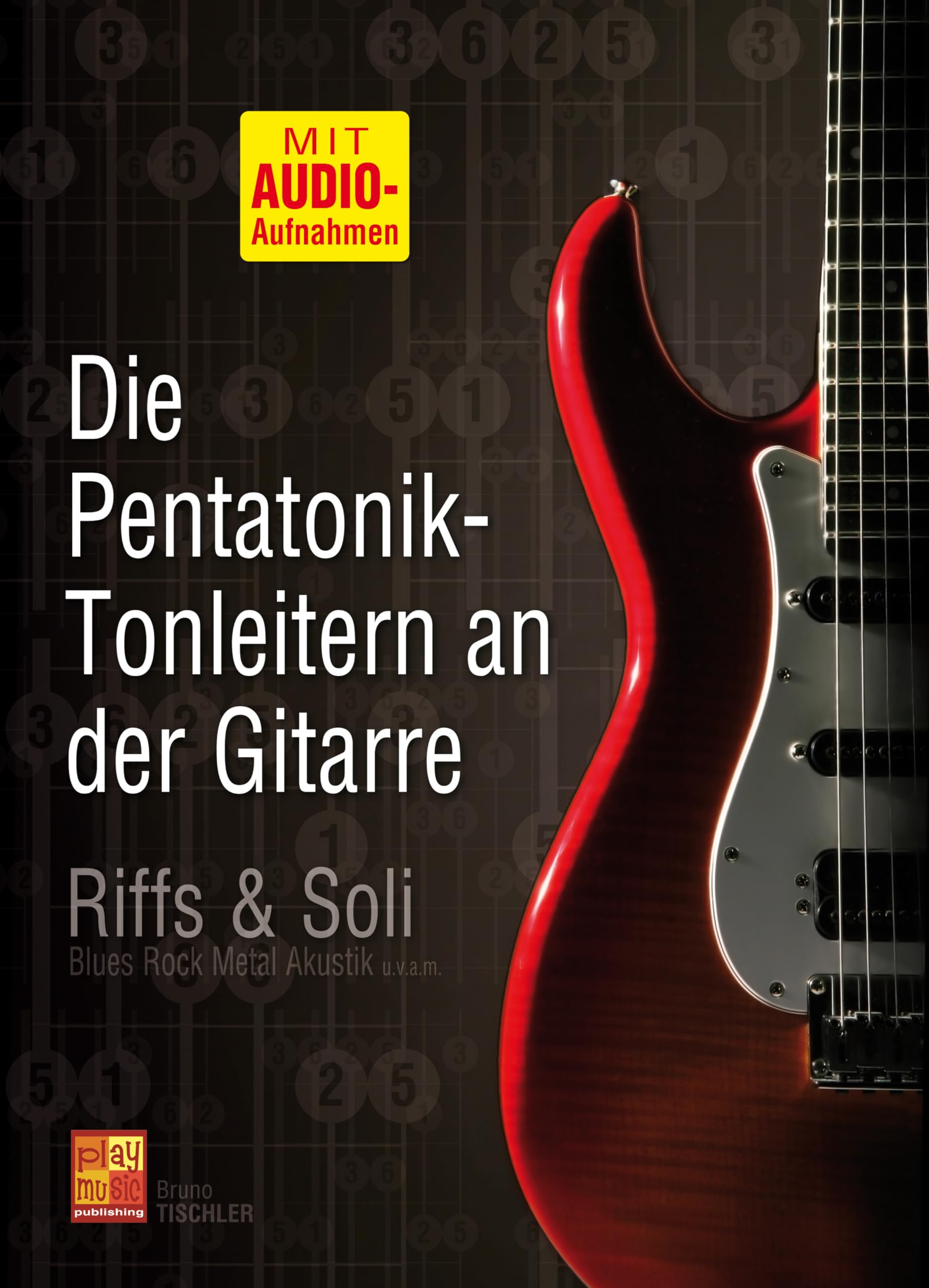Die Pentatonik-Tonleitern an der Gitarre (1 Buch + 1 CD) book
