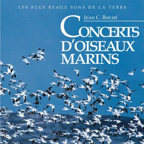 Concerts D'oiseaux Marins Music