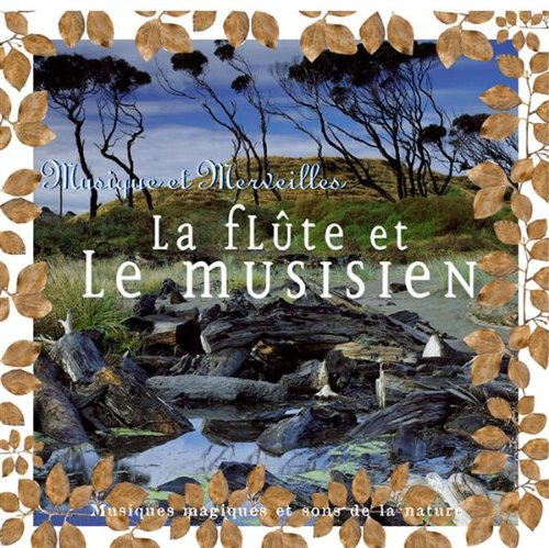 La Flûte Et Le Musicien Pop