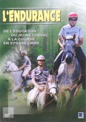 L'endurance du jeune cheval à la course et à la vitesse Films
